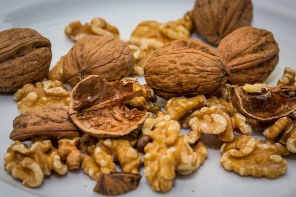 قیمت گردو تک